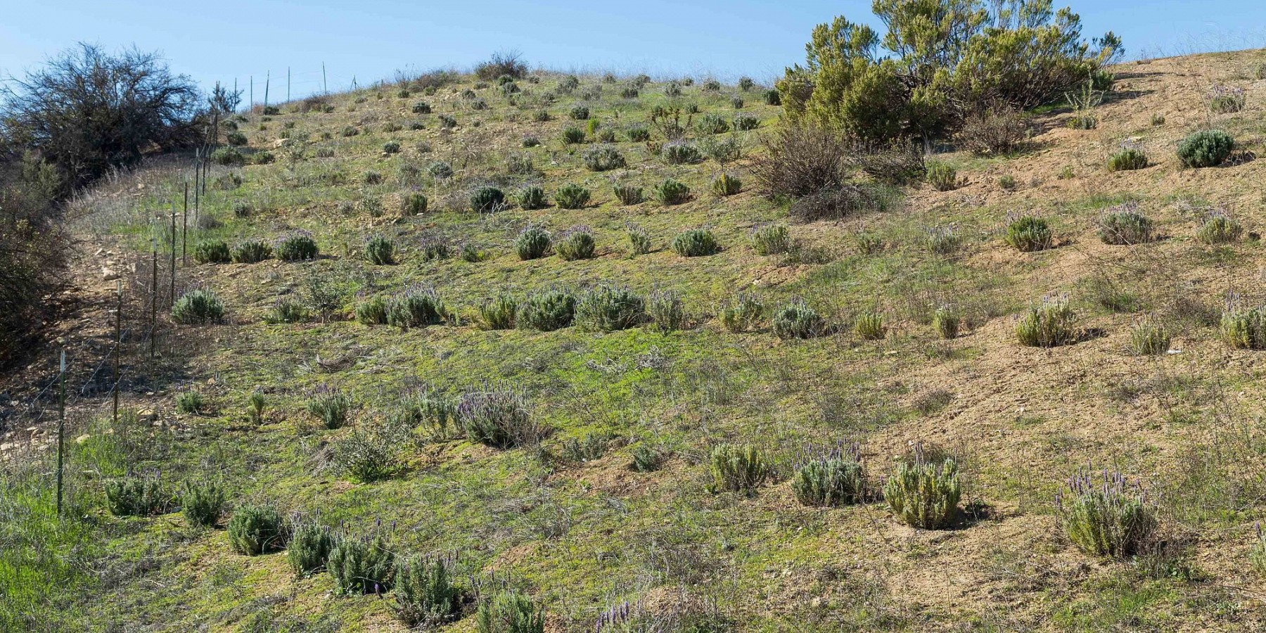 2400 SUMMIT TO SUMMIT MOTORWAY, Topanga, CA 90290