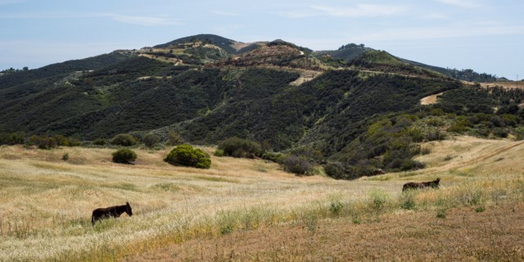 12470 YERBA BUENA Road, Malibu, CA 90265