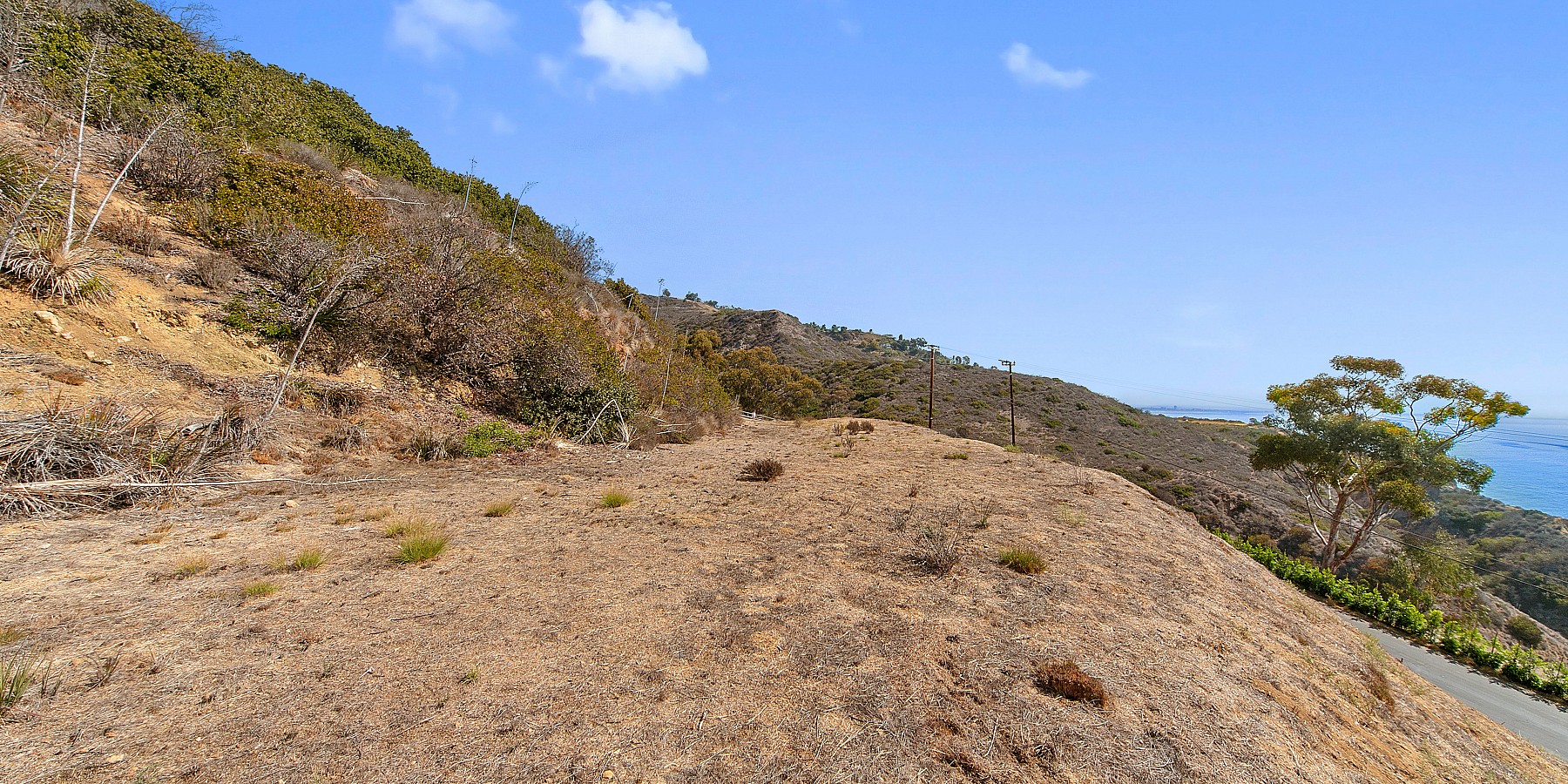 20963 Las Flores Mesa Drive, Malibu, CA 90265